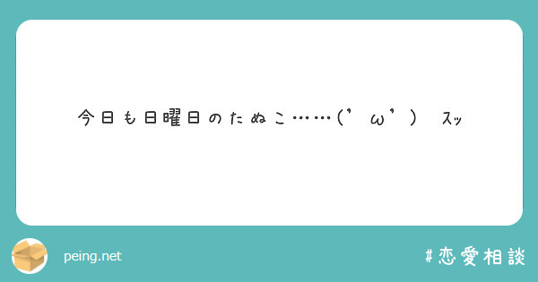 今日も日曜日のたぬこ……('ω')🖕ｽｯ