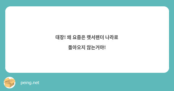 대장! 왜 요즘은 랫서팬더 나라로 돌아오지 않는거야!