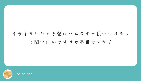 イライラしたとき壁にハムスター投げつけるって聞いたんですけど本当ですか Peing 質問箱