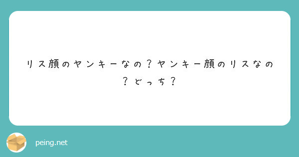 リス顔のヤンキーなの ヤンキー顔のリスなの どっち Questionbox