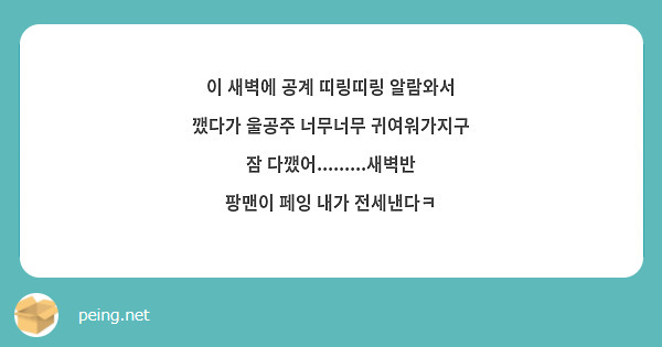 이 새벽에 공계 띠링띠링 알람와서 깼다가 울공주 너무너무 귀여워가지구 잠 다깼어.........새벽반 | Peing -질문함-