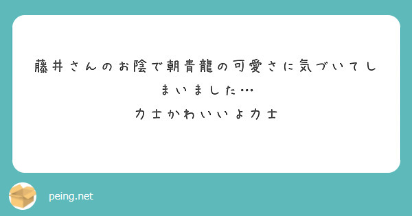 藤井さんのお陰で朝青龍の可愛さに気づいてしまいました 力士かわいいよ力士 Questionbox