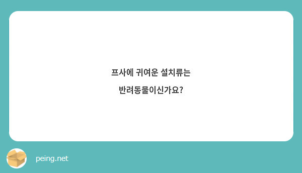 프사에 귀여운 설치류는 반려동물이신가요? | Peing -질문함- 프사에 귀여운 설치류는 반려동물이신가요? | Peing -질문함-