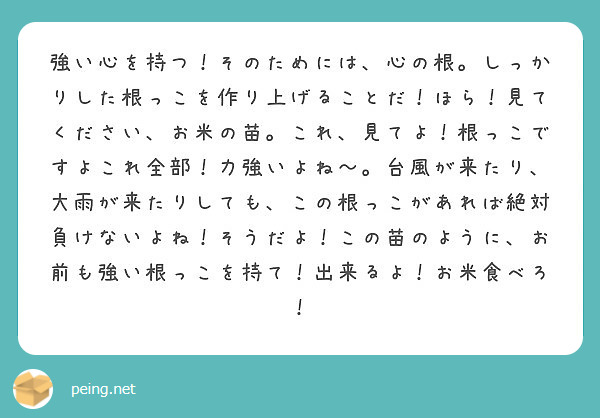 強い心を持つ そのためには 心の根 しっかりした根っこを作り上げることだ ほら 見てください お米の苗 これ 見 Peing 質問箱