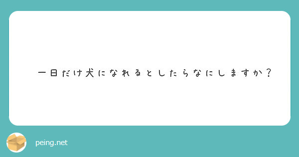　一日だけ犬になれるとしたらなにしますか？