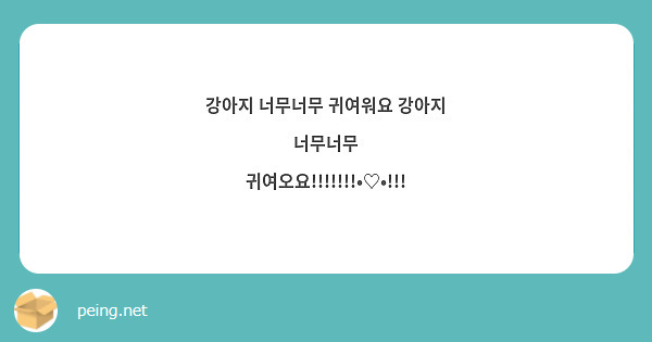 강아지 너무너무 귀여워요 강아지 너무너무 귀여오요!!!!!!!•♡•!!!