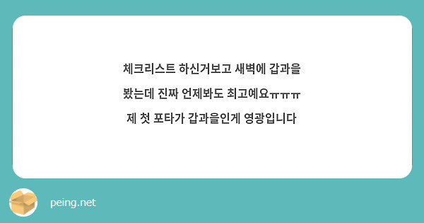 루피깅 새 글 기다리고 잇어요 플릿 보고 벌써 두근두근 알럽유 맘 Peing 질문함