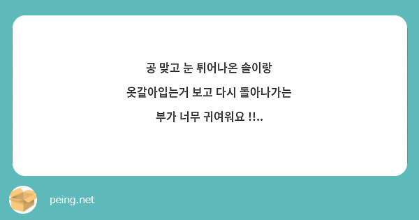공 맞고 눈 튀어나온 솔이랑 옷갈아입는거 보고 다시 돌아나가는 부가 너무 귀여워요 !!..