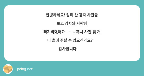 안녕하세요 알티 탄 감자 사진을 보고 감자와 사랑에 빠져버렸어요…… 혹시 사진 몇 개 더 올려 Peing 質問箱