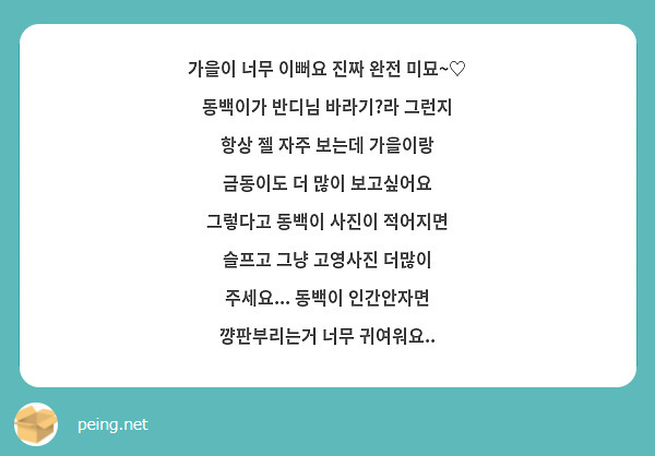 가을이 너무 이뻐요 진짜 완전 미묘~♡ 동백이가 반디님 바라기?라 그런지 항상 젤 자주 보는데 | Peing -質問箱- 가을이 너무 이뻐요 진짜 완전 미묘~♡ 동백이가 반디님 바라기?라 그런지 항상 젤 자주 보는데 | Peing -質問箱-