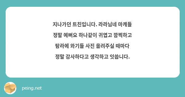 지나가던 트친입니다. 라라님네 마캐들 정말 예뻐요 하나같이 귀엽고 깜찍하고 탐라에 와기들 사진 올려주실 때마다 정말 감사하다고 생각하고 잇씁니다.