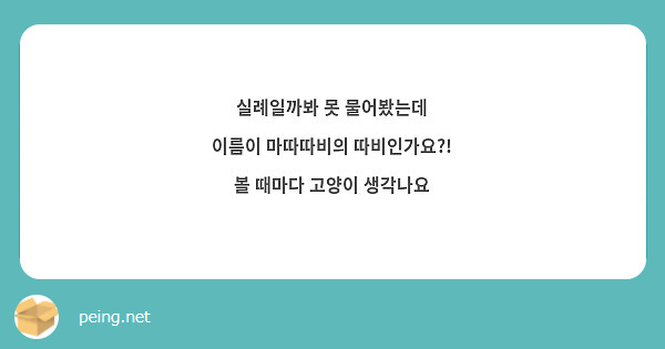 실례일까봐 못 물어봤는데
이름이 마따따비의 따비인가요?!
볼 때마다 고양이 생각나요
