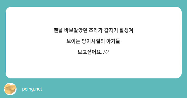 맨날 바보같았던 즈라가 갑자기 잘생겨 보이는 양이시절의 아가들 보고싶어요..♡