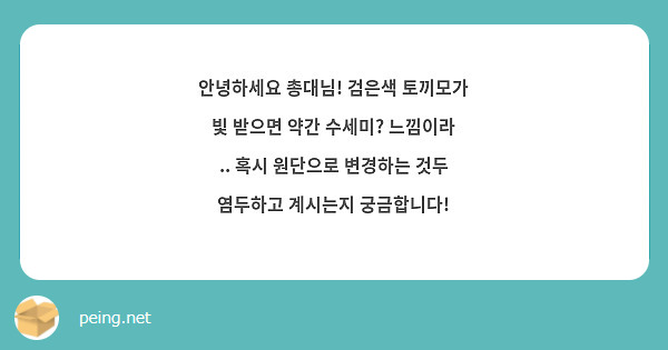 안녕하세요 총대님! 검은색 토끼모가 빛 받으면 약간 수세미? 느낌이라 .. 혹시 원단으로 변경하는 것두 염두하고 계시는지 궁금합니다!