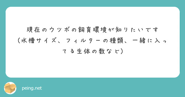 現在のウツボの飼育環境が知りたいです 水槽サイズ フィルターの種類 一緒に入ってる生体の数など Peing 質問箱