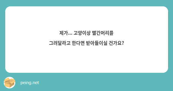 제가... 고양이상 빨간머리를 그려달라고 한다면 받아들이실 건가요?