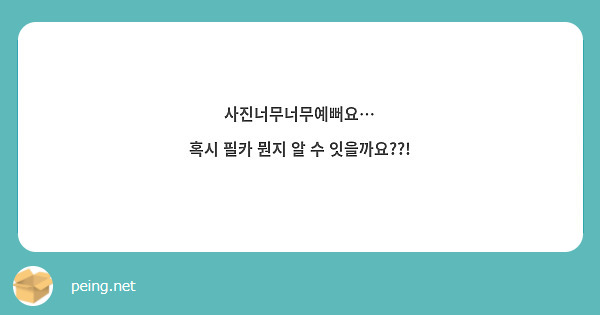 사진너무너무예뻐요…
혹시 필카 뭔지 알 수 잇을까요??!