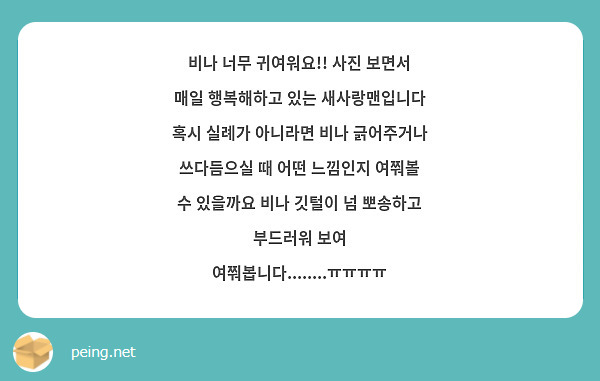 비나 너무 귀여워요!! 사진 보면서 매일 행복해하고 있는 새사랑맨입니다 혹시 실례가 아니라면 비나 긁어주거나 쓰다듬으실 때 어떤 느낌인지 여쭤볼 수 있을까요 비나 깃털이 넘 뽀송하고 부드러워 보여 여쭤봅니다........ㅠㅠㅠㅠ