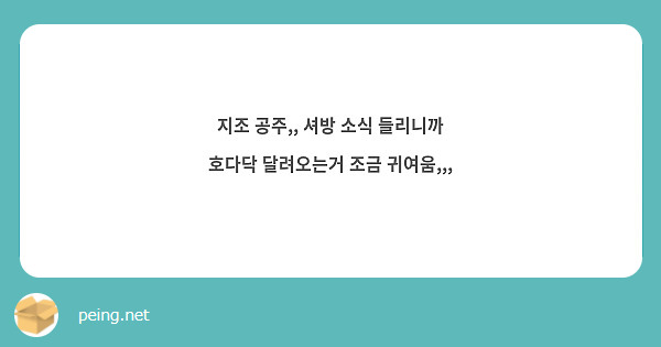 지조 공주,, 셔방 소식 들리니까 호다닥 달려오는거 조금 귀여움,,,