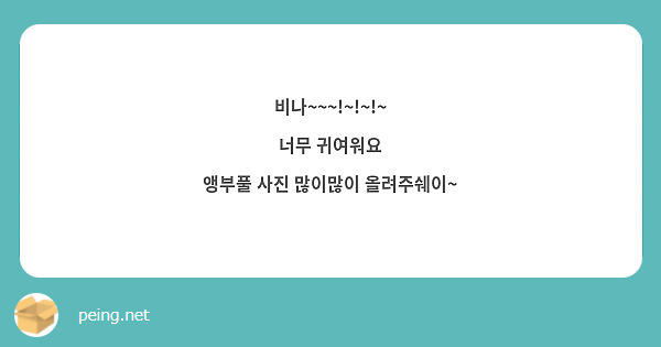 비나~~~!~!~!~
너무 귀여워요
앵부풀 사진 많이많이 올려주쉐이~
