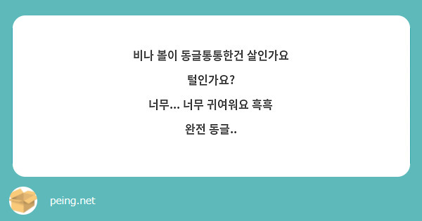 비나 볼이 동글통통한건 살인가요 털인가요?
너무... 너무 귀여워요 흑흑
완전 동글..