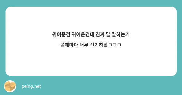 귀여운건 귀여운건데 진짜 말 잘하는거 볼때마다 너무 신기하닼ㅋㅋㅋ 