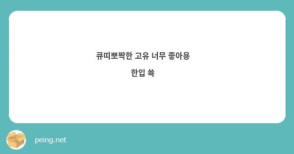 큐띠뽀짝한 고유 너무 좋아용💙
한입 쑉💙