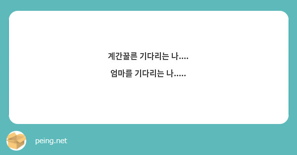 계간꿀른 기다리는 나....
엄마를 기다리는 나.....
