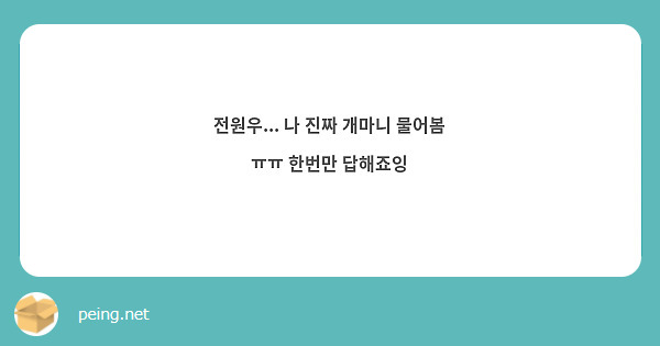 전원우... 나 진짜 개마니 물어봄 ㅠㅠ 한번만 답해죠잉