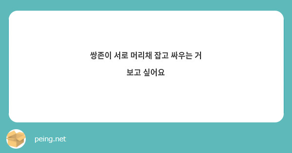 쌍존이 서로 머리채 잡고 싸우는 거 보고 싶어요