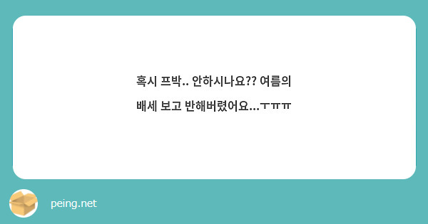 혹시 프박.. 안하시나요?? 여름의 배세 보고 반해버렸어요...ㅜㅠㅠ