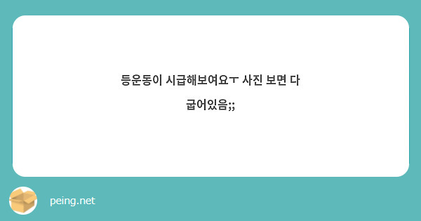 등운동이 시급해보여요ㅜ 사진 보면 다 굽어있음;; 