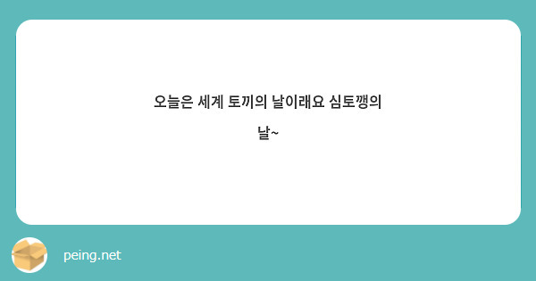 오늘은 세계 토끼의 날이래요 심토깽의 날~