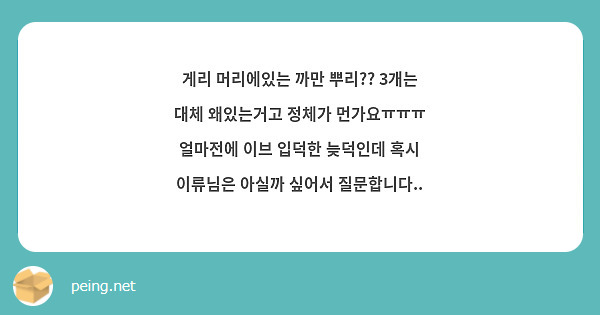 게리 머리에있는 까만 뿌리?? 3개는 대체 왜있는거고 정체가 먼가요ㅠㅠㅠ 얼마전에 이브 입덕한 늦덕인데 혹시 이류님은 아실까 싶어서 질문합니다.. 