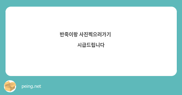 반죽이랑 사진찍으러가기 ❤💥
💥💥💥💥💥💥💥시급드립니다💥💥💥💥💥💥💥