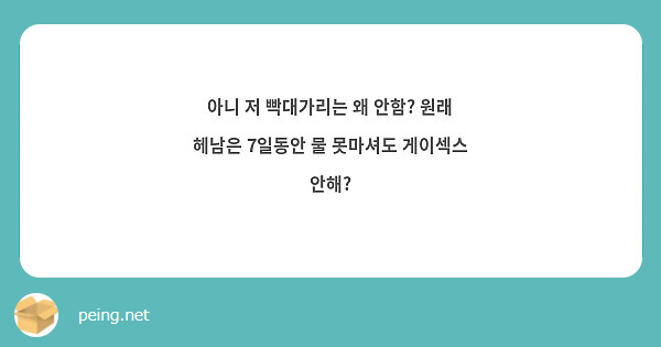아니 저 빡대가리는 왜 안함? 원래 헤남은 7일동안 물 못마셔도 게이섹스 안해? | Peing -질문함- 아니 저 빡대가리는 왜 안함? 원래 헤남은 7일동안 물 못마셔도 게이섹스 안해? | Peing -질문함-