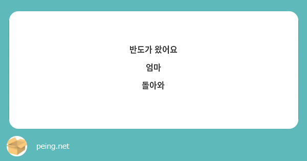 반도가 왔어요
엄마
돌아와