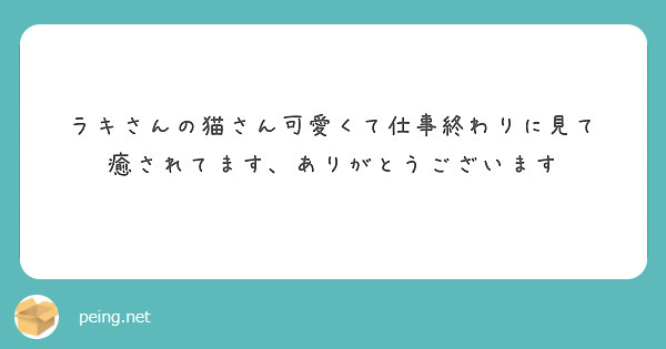 ラキさんの猫さん可愛くて仕事終わりに見て
癒されてます、ありがとうございます