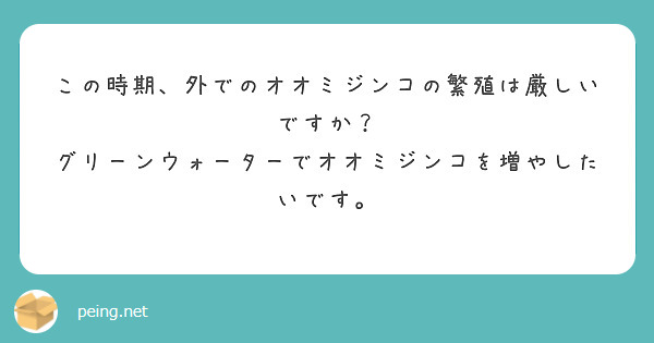 この時期、外でのオオミジンコの繁殖は厳しいですか？
グリーンウォーターでオオミジンコを増やしたいです。