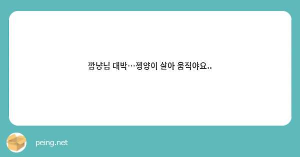 깜냥님 대박…젱양이 살아 움직야요..