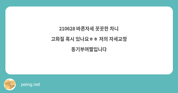 210628 바른자세 꼿꼿한 차니 고화질 혹시 있나요ㅎㅎ 저의 자세교정 동기부여짤입니다