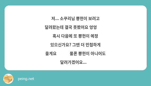 저 소쿠리님 뿅헌이 보려고 달려왔는데 결국 못봤어요 엉엉 😭😭 혹시 다음에 또 뿅헌이 예정 Peing 질문함 5912