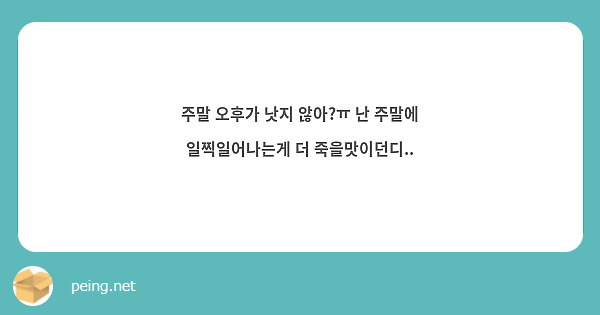 주말 오후가 낫지 않아?ㅠ 난 주말에 일찍일어나는게 더 죽을맛이던디..