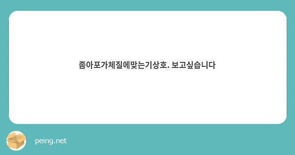 좀아포가체질에맞는기상호. 보고싶습니다