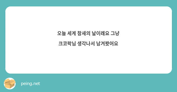 오늘 세계 참새의 날이래요 그냥 크코락님 생각나서 남겨봣어요