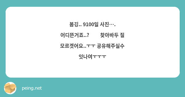 봄깅.. 9100일 사진…. 어디뜬거죠..?🥺🥺 찾아바두 질 모르겟어요..ㅜㅜ 공유해주실수 잇나여ㅜㅜㅜ