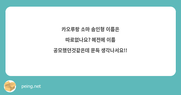카오루랑 소마 솜인형 이름은 따로없나요? 예전에 이름 공모했던것같은데 문득 생각나서요!!