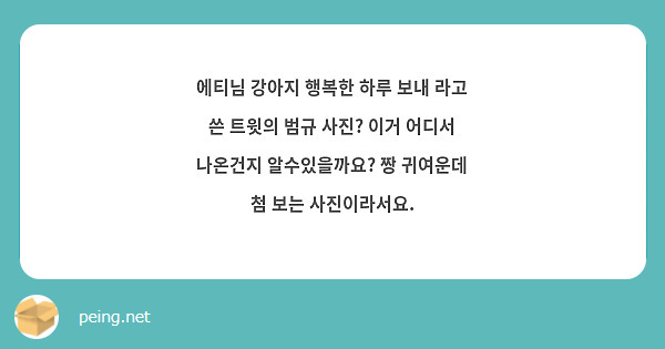 에티님 강아지 행복한 하루 보내 라고 쓴 트윗의 범규 사진? 이거 어디서 나온건지 알수있을까요? 짱 귀여운데 첨 보는 사진이라서요.