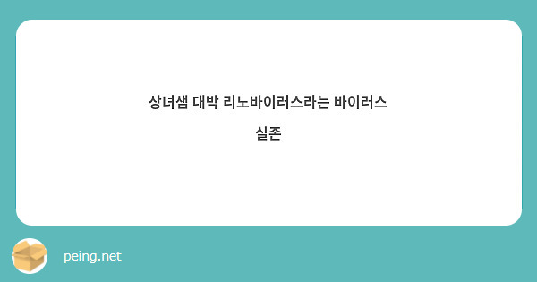 상녀샘 대박 리노바이러스라는 바이러스 실존