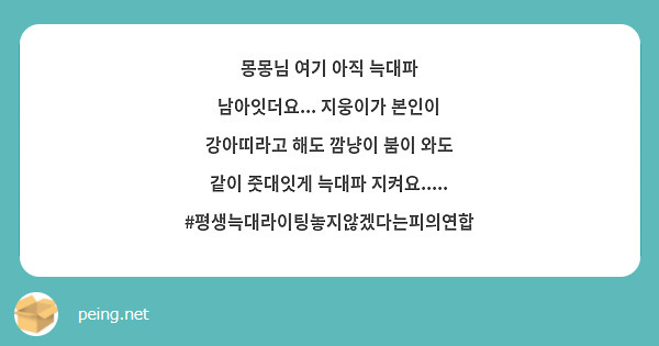 몽몽님 여기 아직 늑대파 남아잇더요... 지웅이가 본인이 강아띠라고 해도 깜냥이 붐이 와도 같이 줏대잇게 늑대파 지켜요..... #평생늑대라이팅놓지않겠다는피의연합